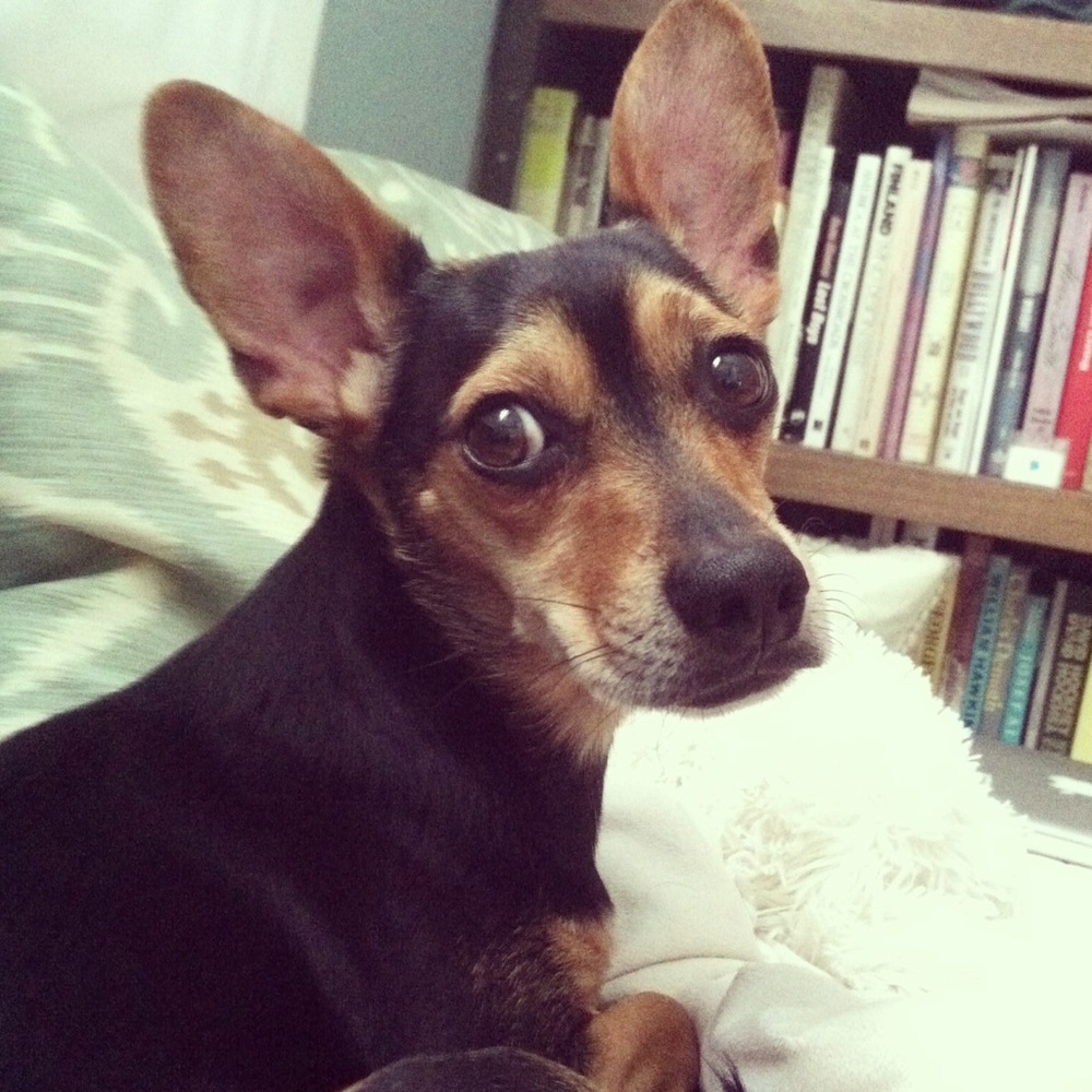 Meet your Posher, Chad